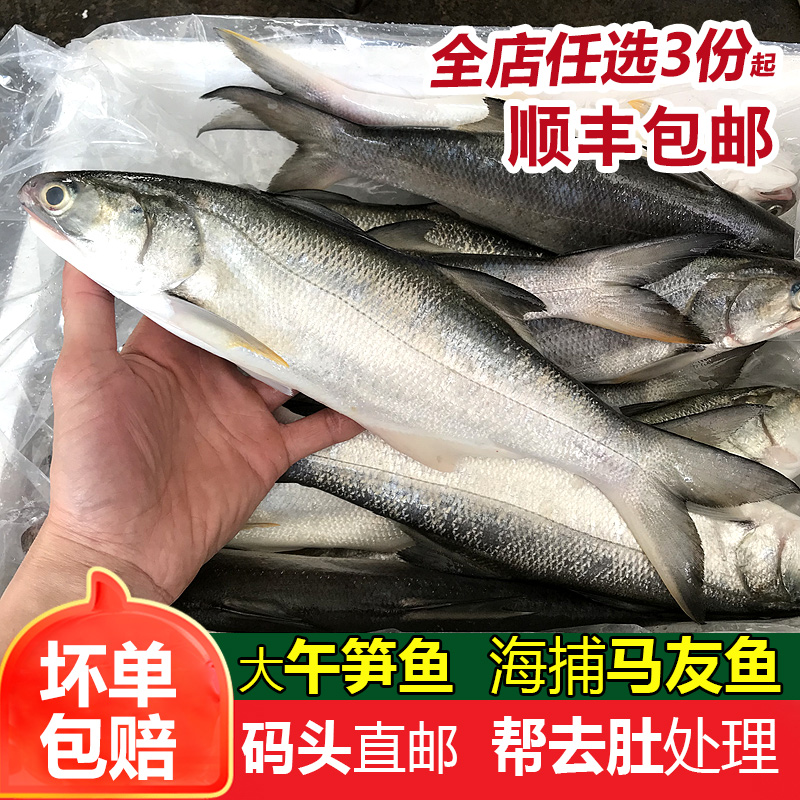 ʻ䶳ˮʺÿ450g-550g
