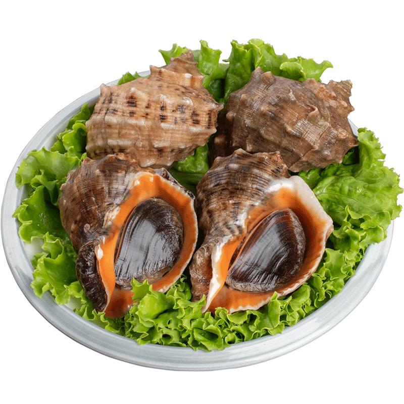 5ﺣʻൺزˮشʻ˳

