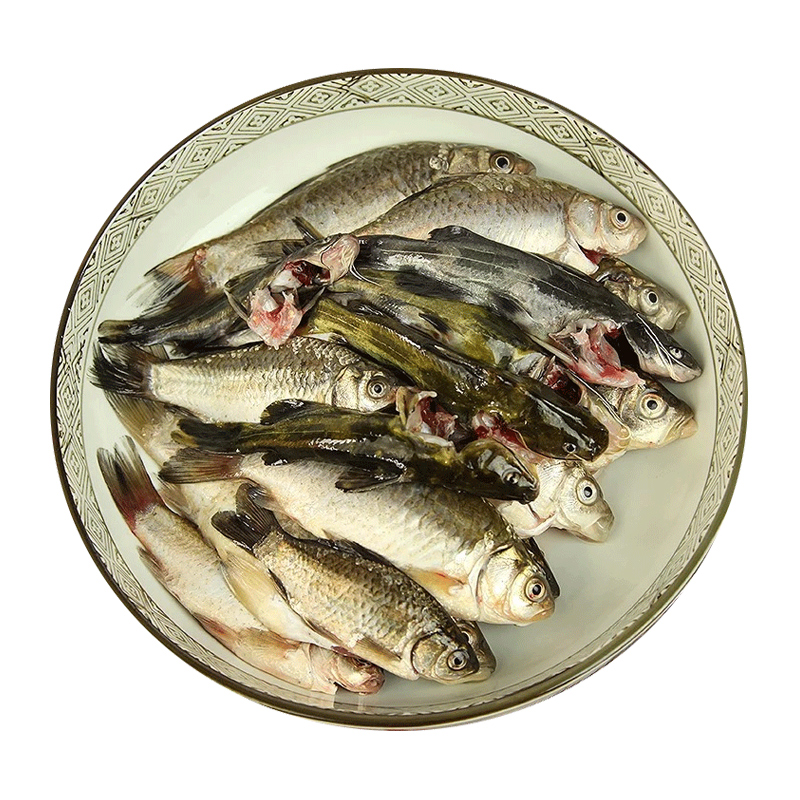 ˮʻʻƹССС3-4ɱ
