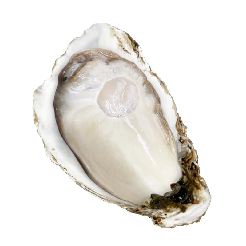 Сˮشʻĵúʺ10װ
