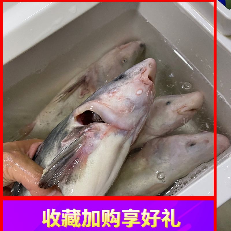 š彭tʻɱʳdտ㹳
