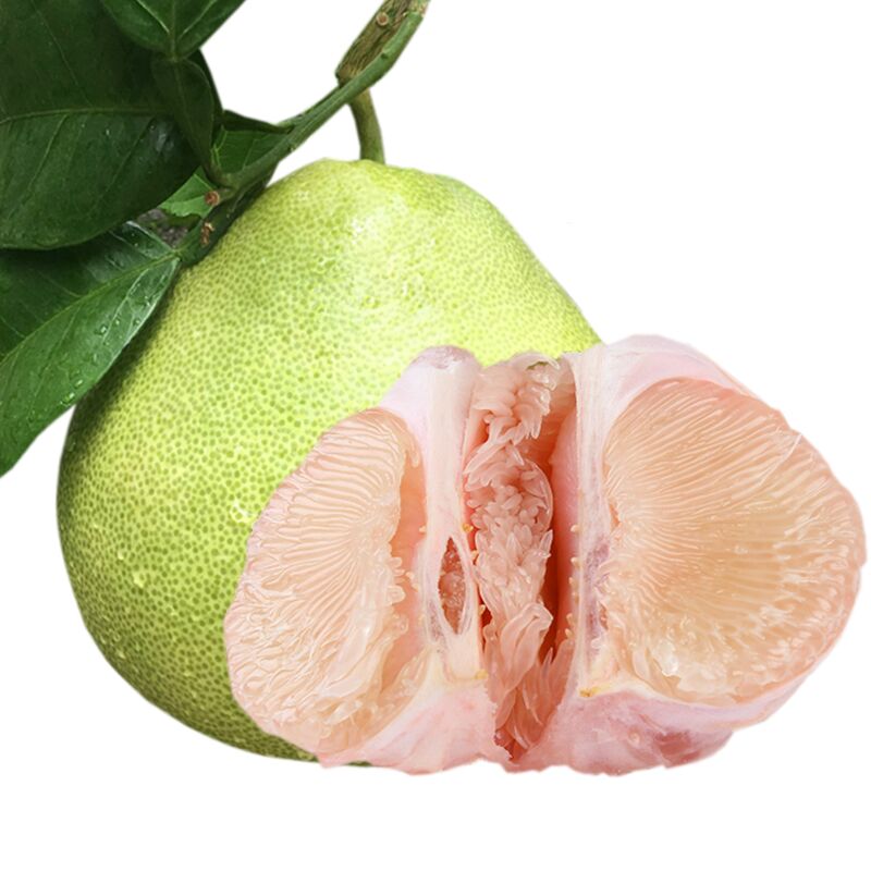 ڶβĵӸκСиˮ10
