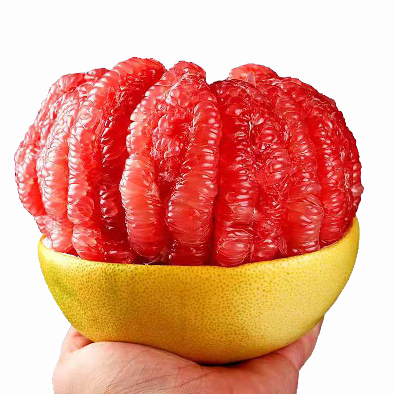 ƽͺӺˮ10ܬgϪ۹
