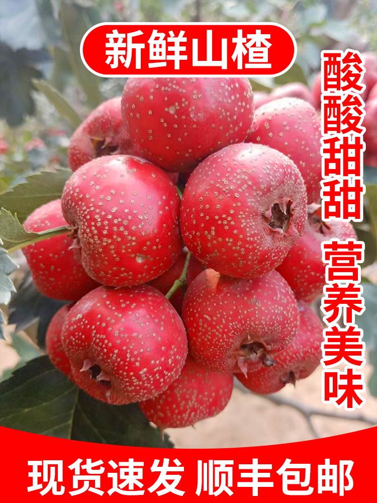 ɽ髹5ɽɽ髹ˮɽɽ髱Ǻ«ɽ髰
