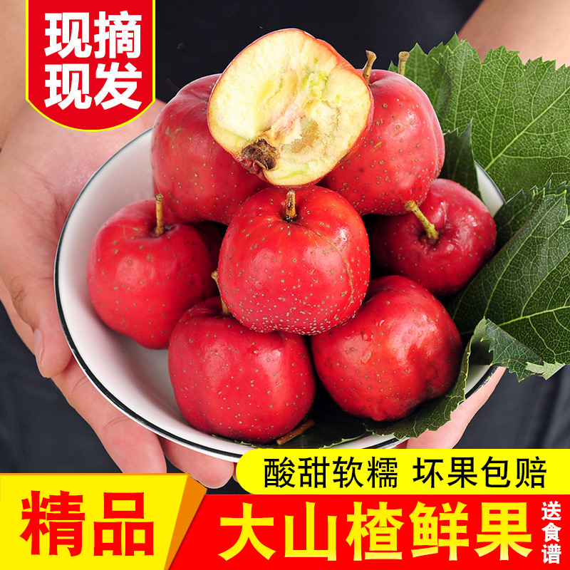 ɽ髹5װ ɽʹɽʴɽ髸ƬǺ«
