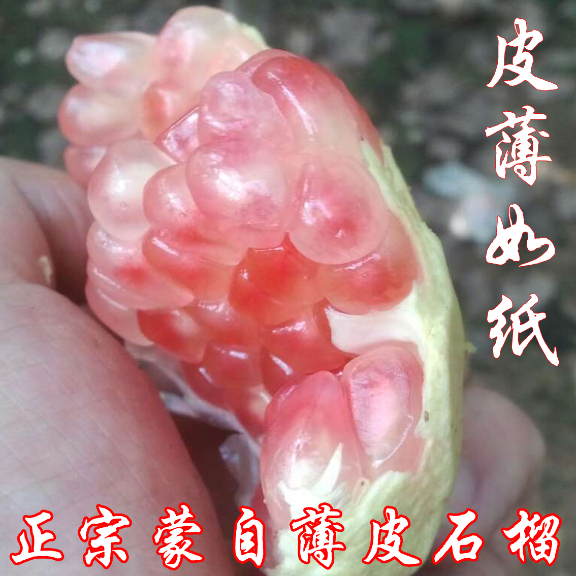 ժʯʯˮӦƤ֭12д
