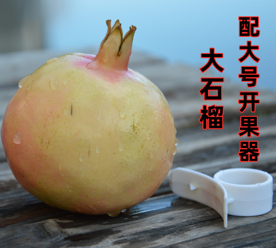 ժ ʯˮˮʯӲʯи12

