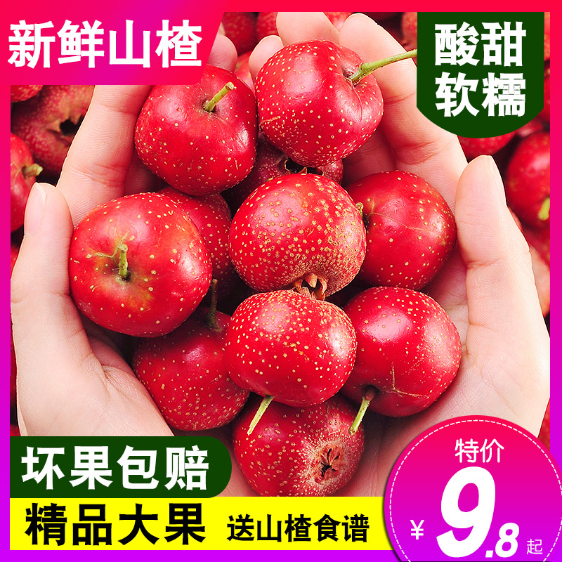 ɽ髹5װ ɽʹɽʴɽ髸ƬǺ«
