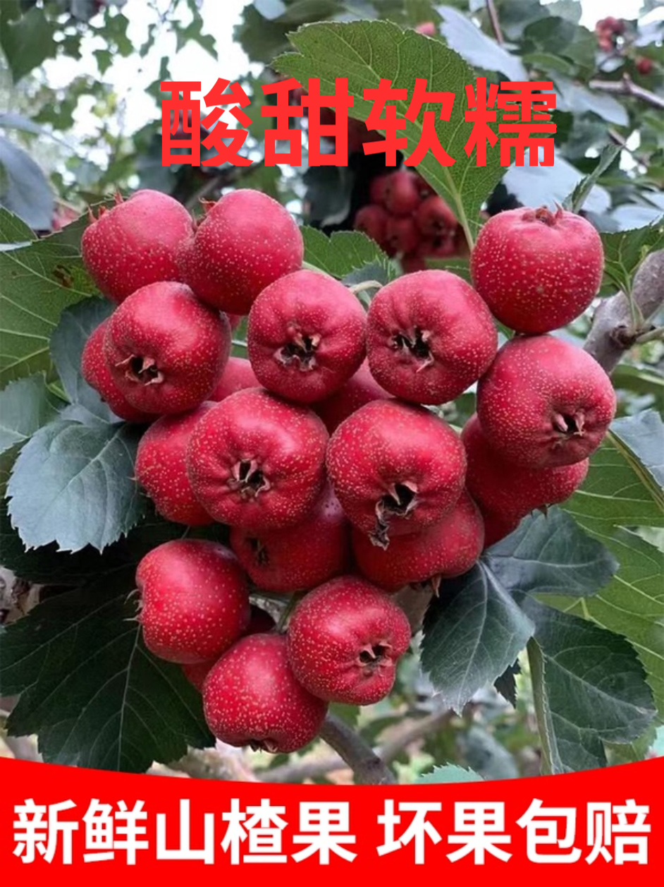 ɽ髹5ɽɽ髹ˮɽɽ髱Ǻ«ɽ髰
