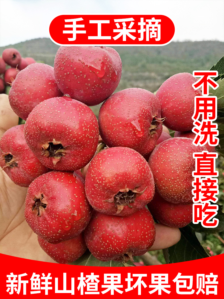 ɽ髹5ɽɽ髹ˮɽɽ髱Ǻ«ɽ髰
