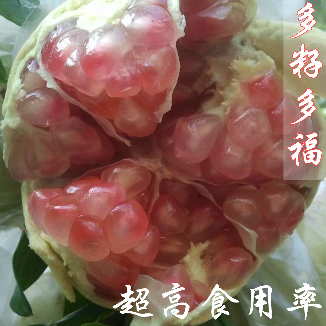 ժʯʯˮӦƤ֭12д
