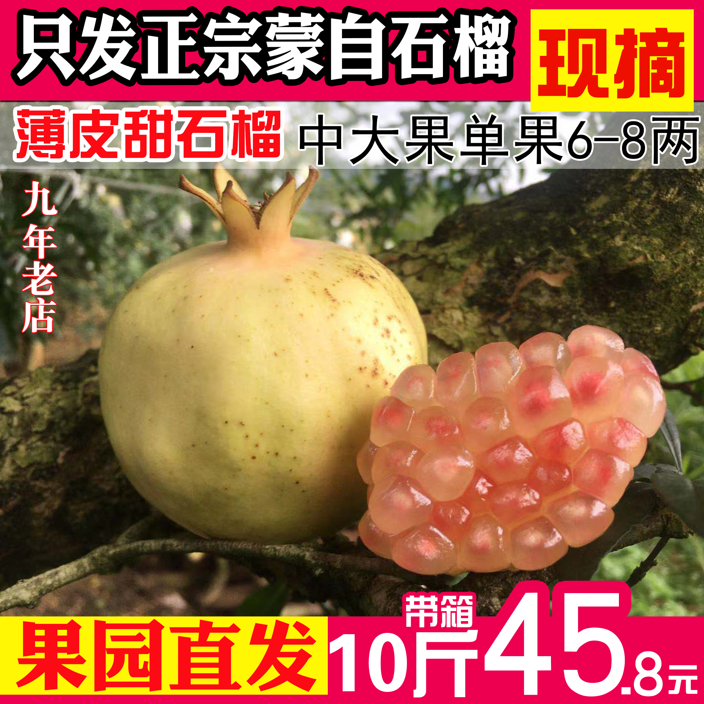 ժʯʯˮӦƤ֭12д
