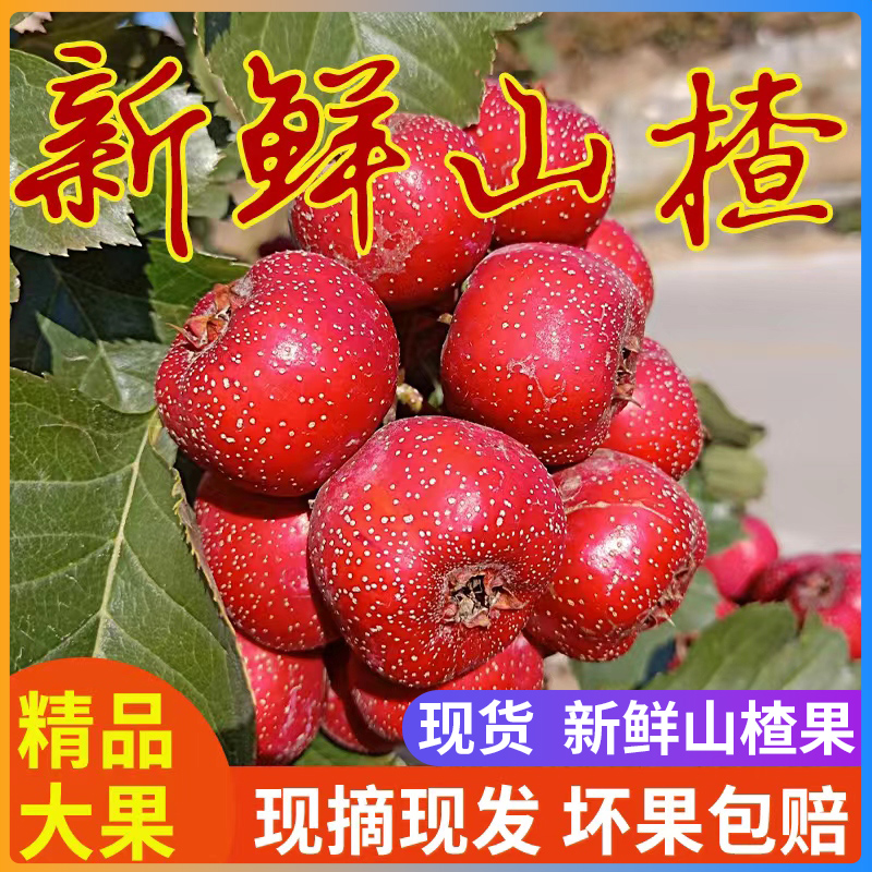 ɽ髹5ɽɽ髹ˮɽɽ髱Ǻ«ɽ髰
