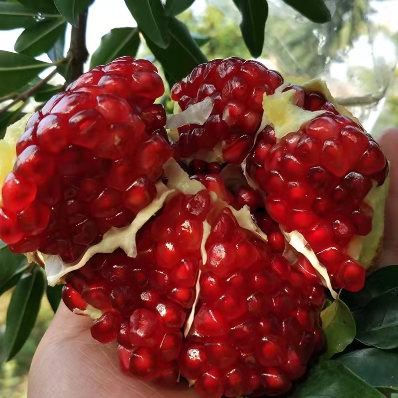 ʯˮزƷӲش10
