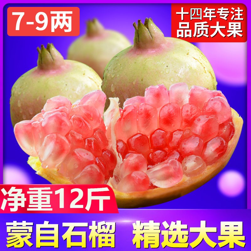 ժ ʯˮˮʯӲʯи12
