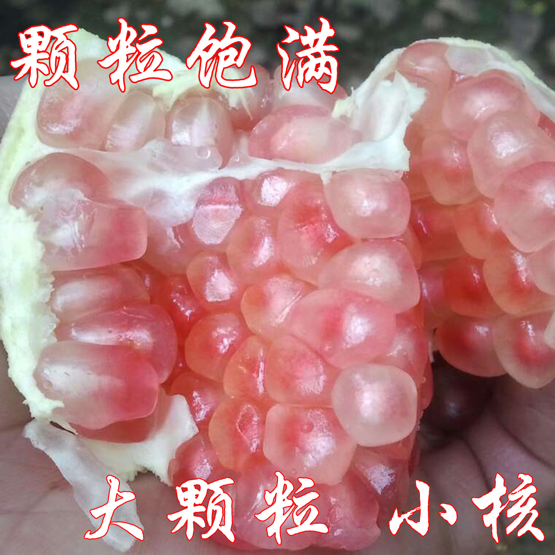 ժʯʯˮӦƤ֭12д
