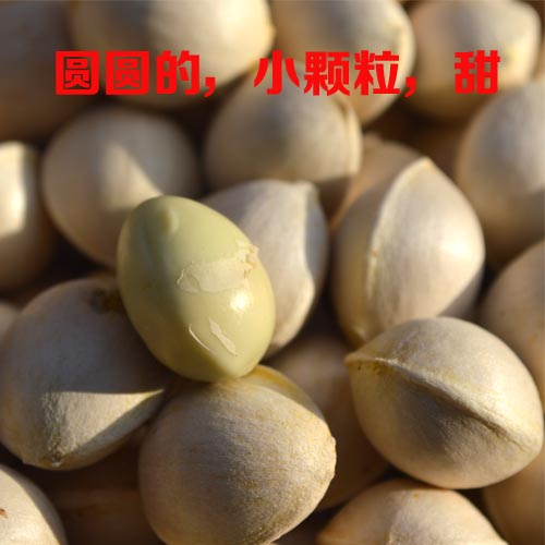 ʸǧӹ׹˹տ
