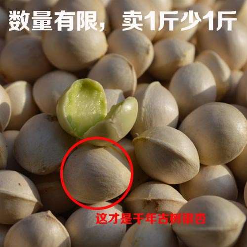 ʸǧӹ׹˹տ

