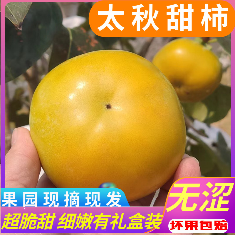 ڹִˮձ̫زǴװ
