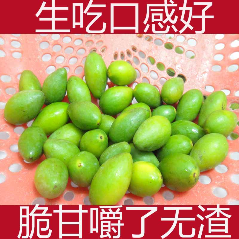 23魹21000gۻԭζزǾ
