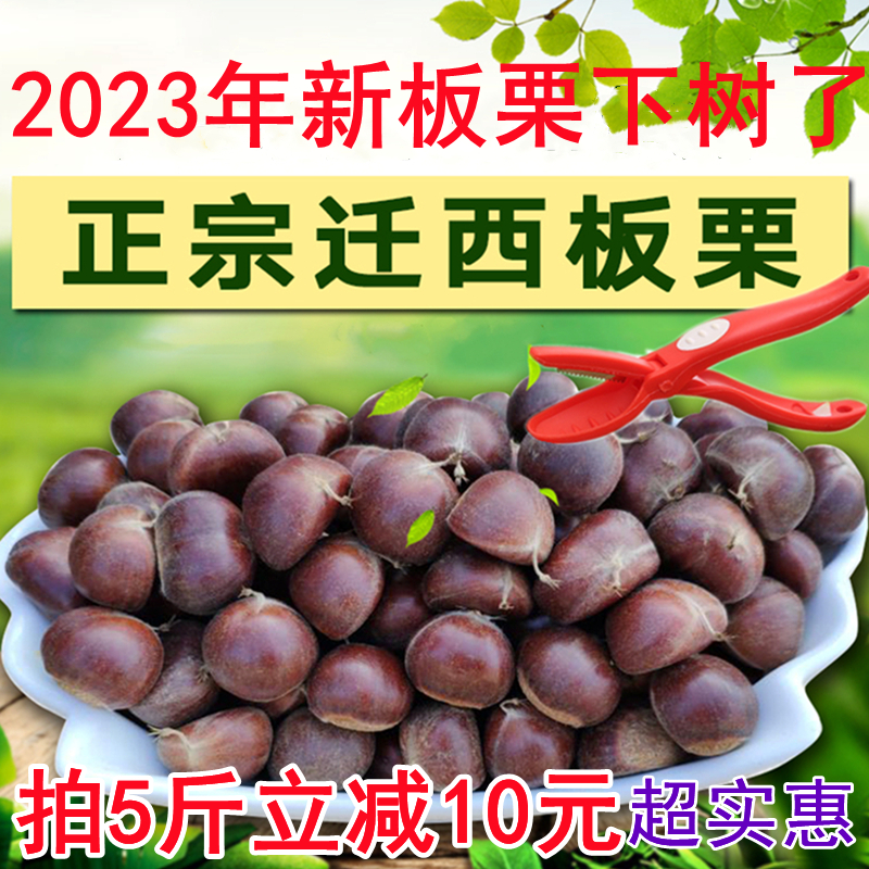 2023»ǨںӱҰӴʰ
