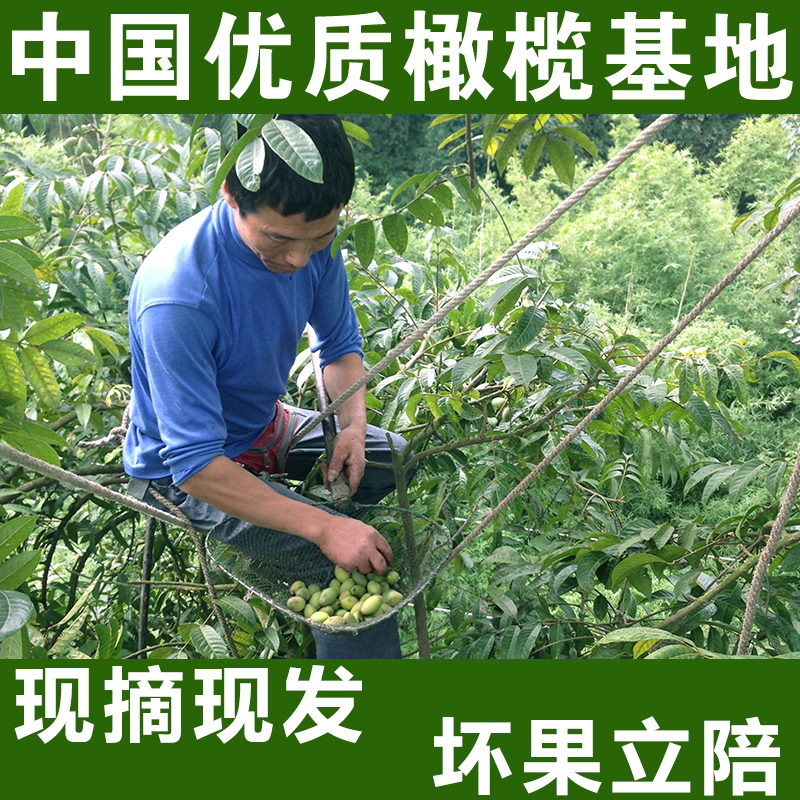 塿31ҩԭֱˮ
