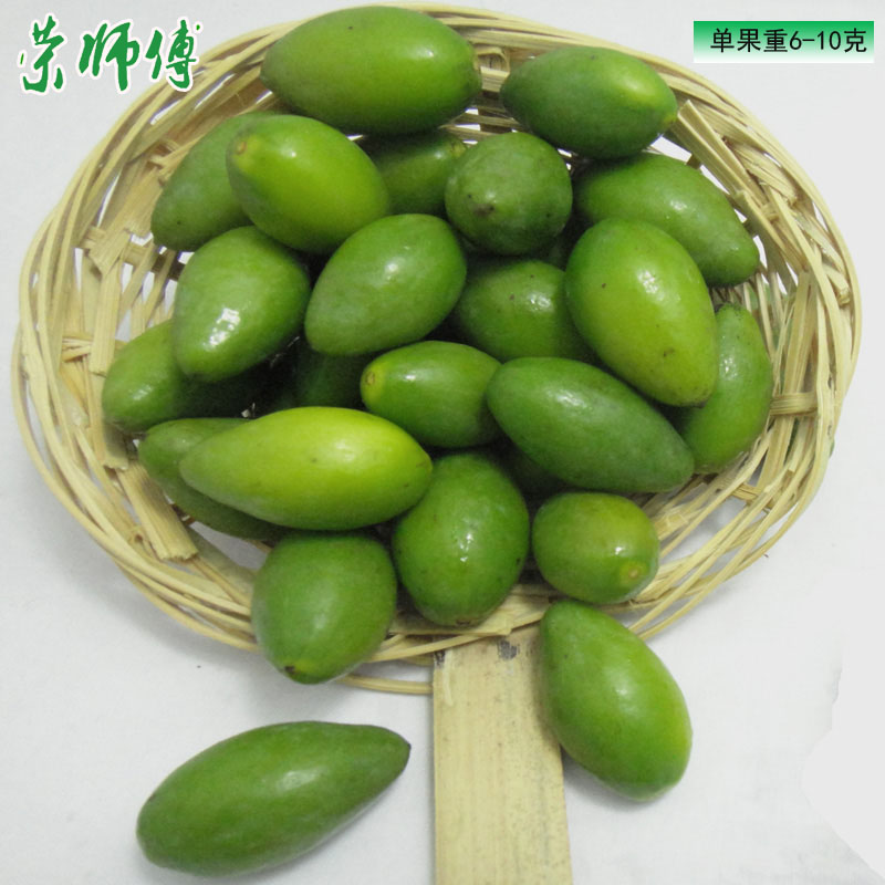 23魹21000gۻԭζزǾ
