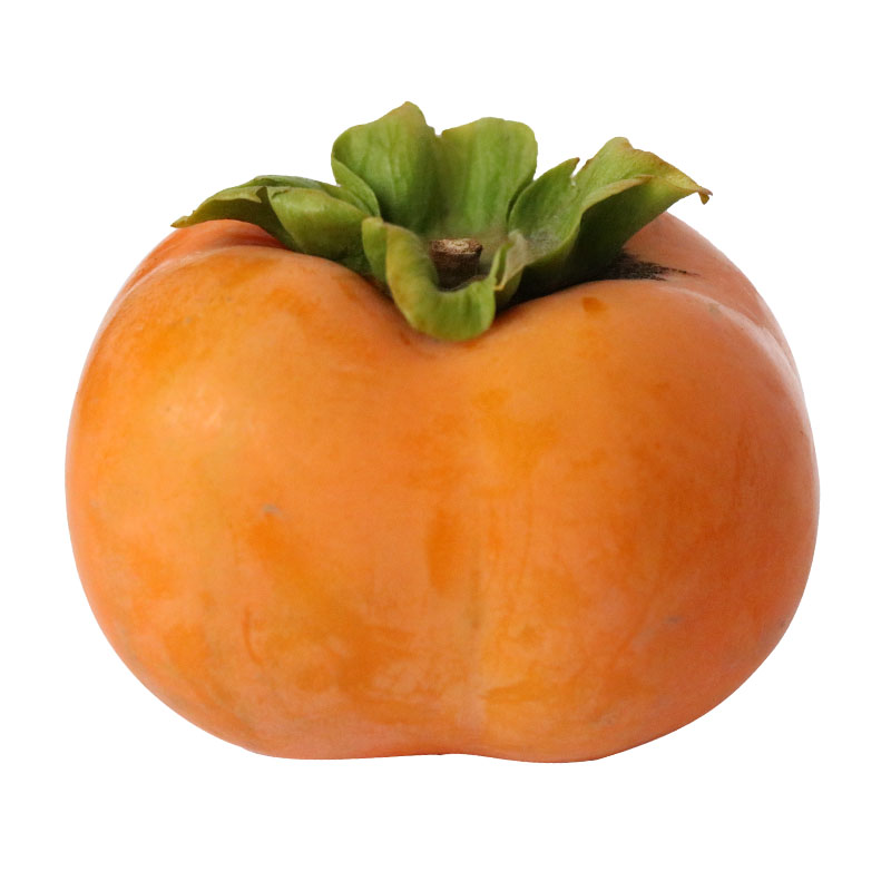 زɽˮɵӲİ
