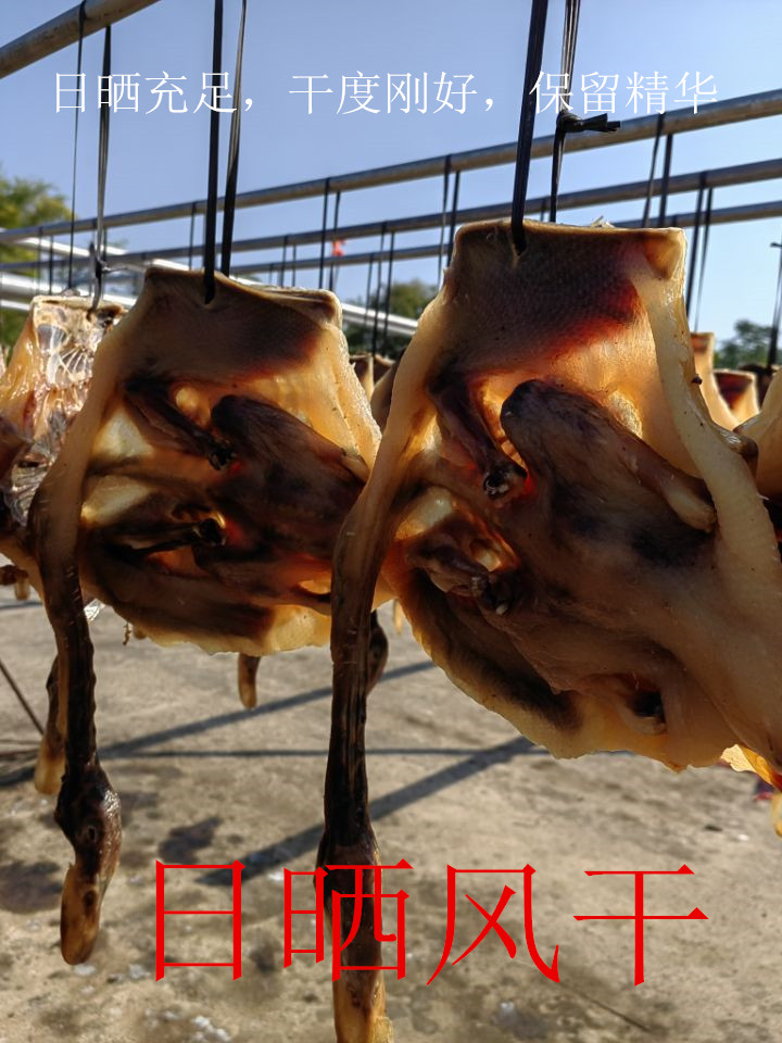 ۰Ѽ㶫عũزֹƷѼֻɢѼѼ
