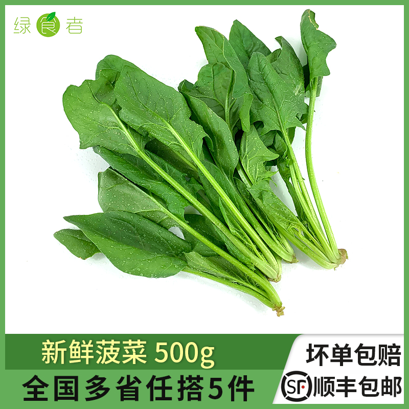 ʲ500g ʳ ʱ߲ 5
