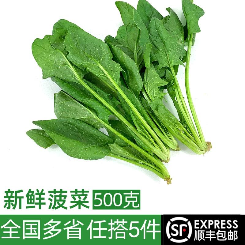 ʲ500g ʳ ʱ߲ 5

