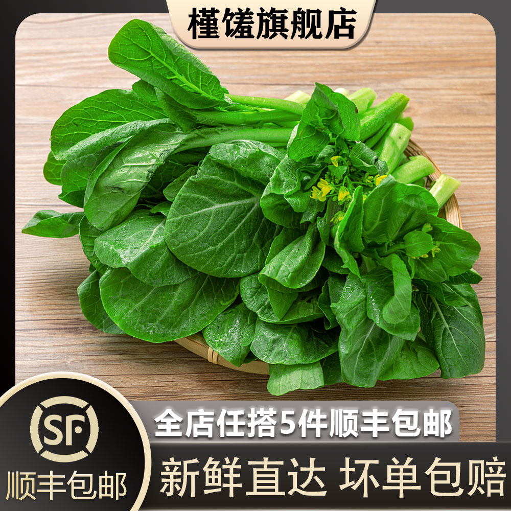 ʡ㶫500g ũĲ޷㶫ĵ߲
