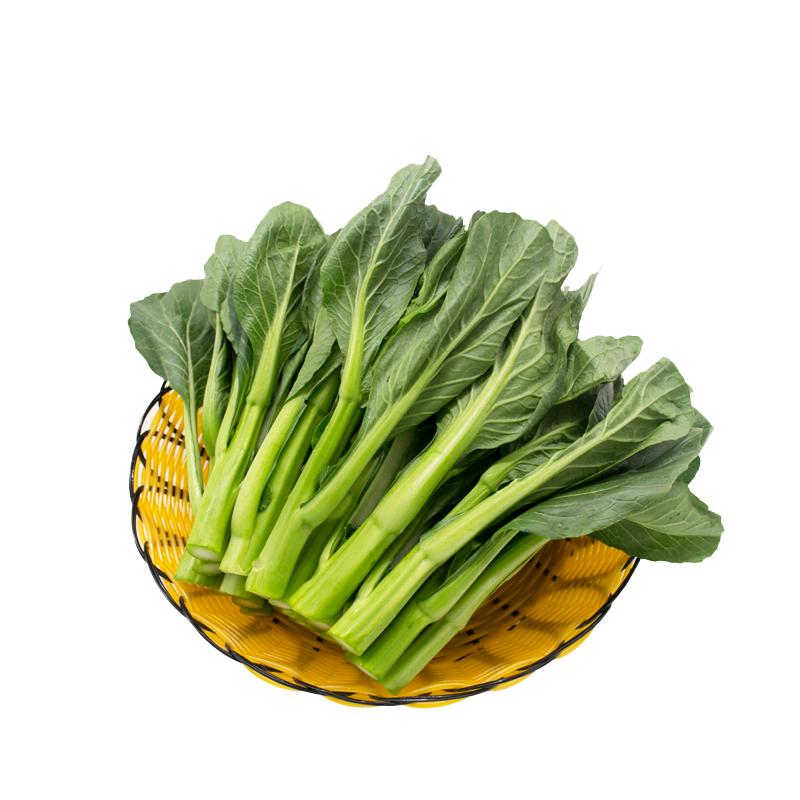 ũ ۲ʱʳƷժ ߲300g
