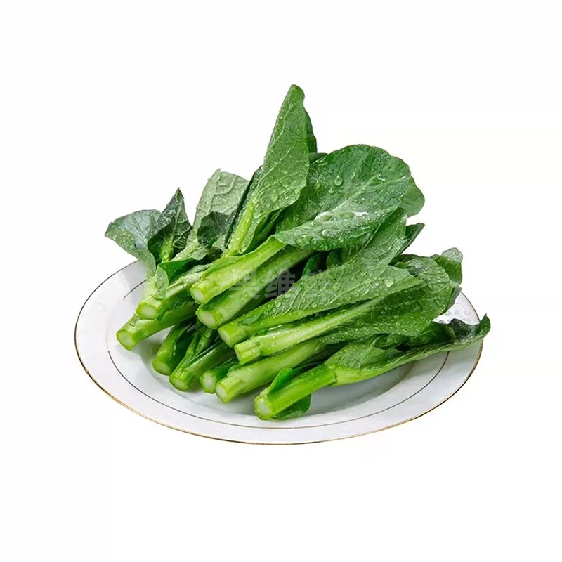 㶫ʲ250g ʱ߲  ز
