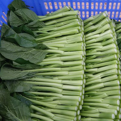 ǧţŸ㶫500g ũĲ޷㶫ĵ߲
