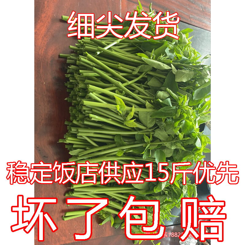 㶫вָɽҰʳó̩ժط
