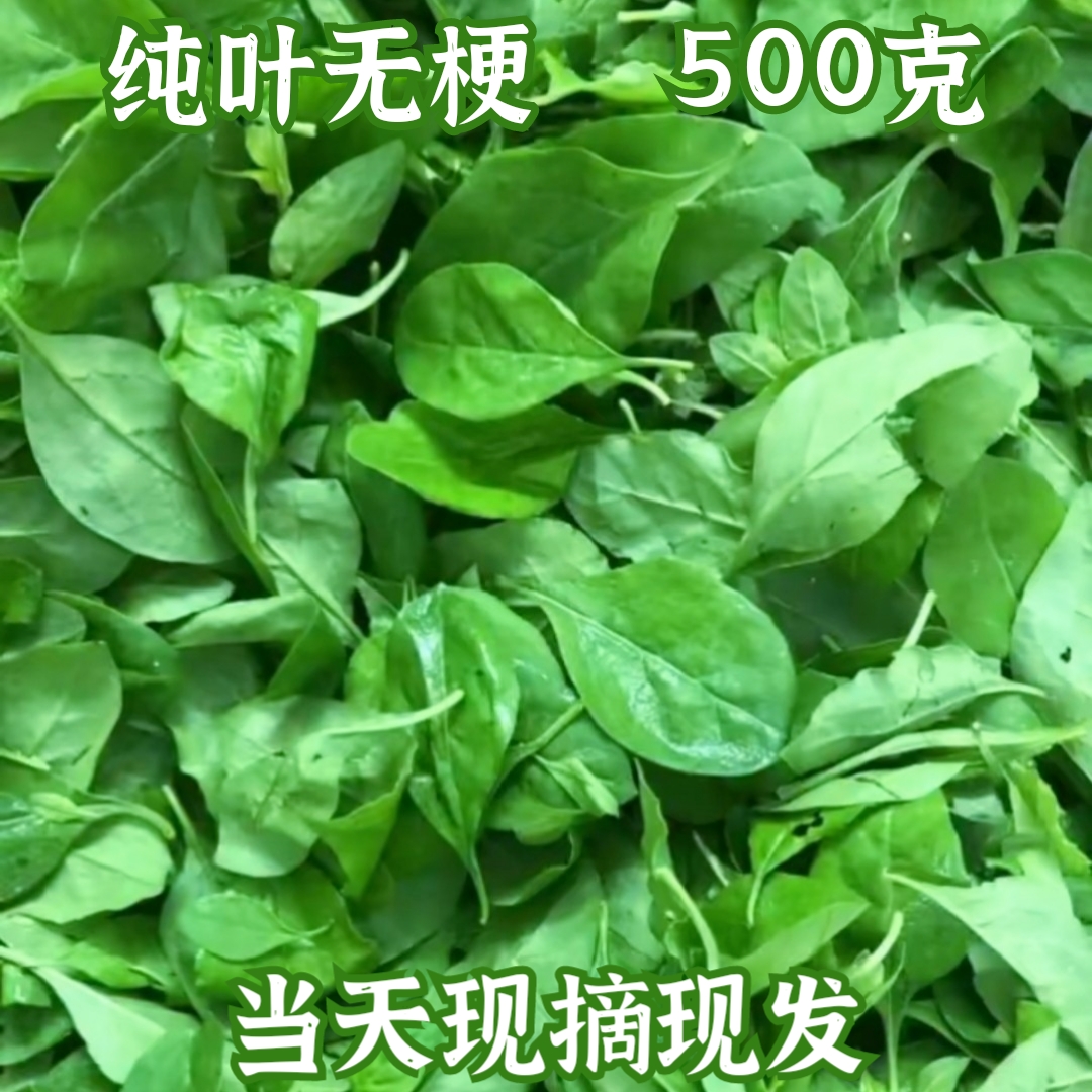 500ˡҶ轲Ҷ߲˴Ҷũҷֲ
