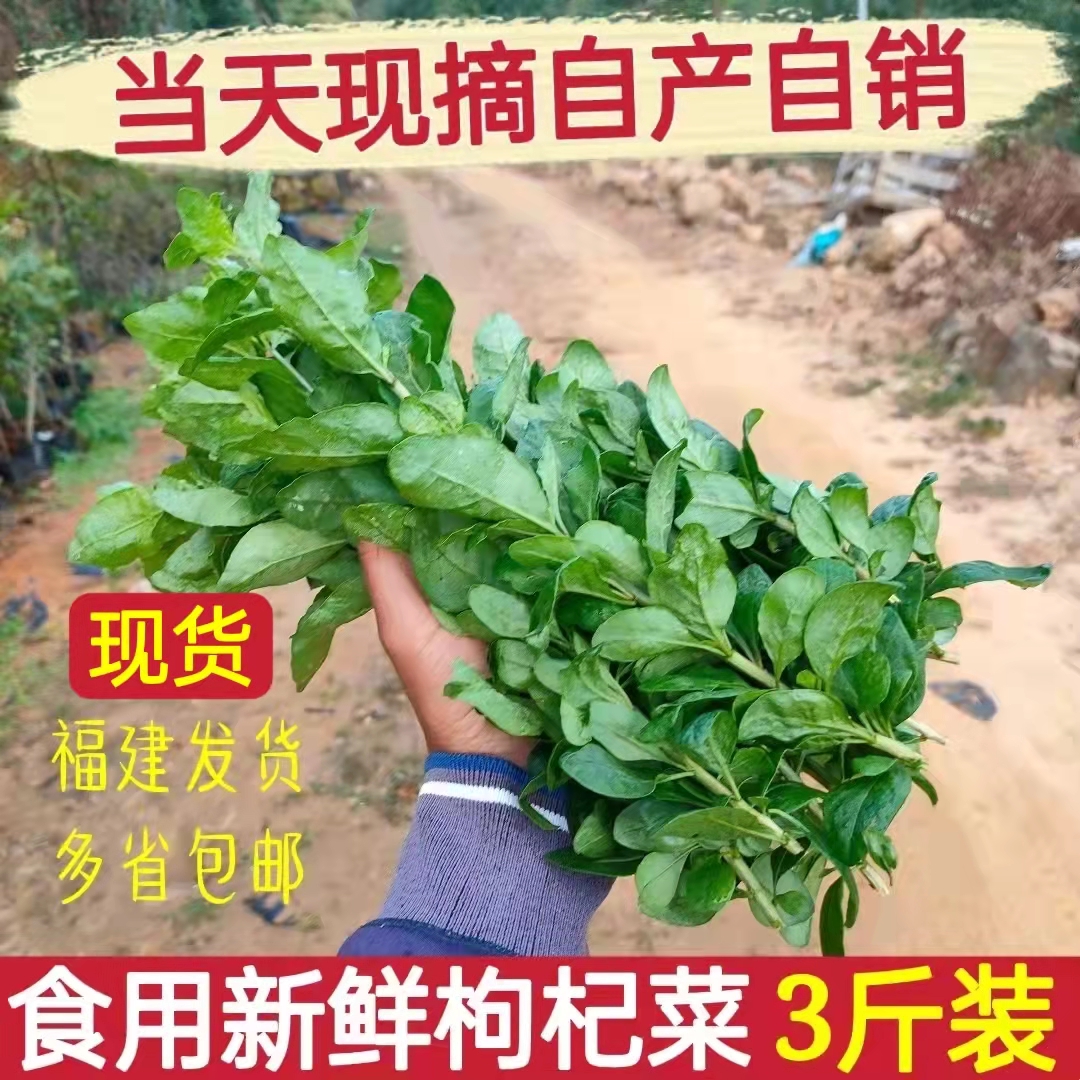 Ҷļʳ轲ҶӵժʡũƷ
