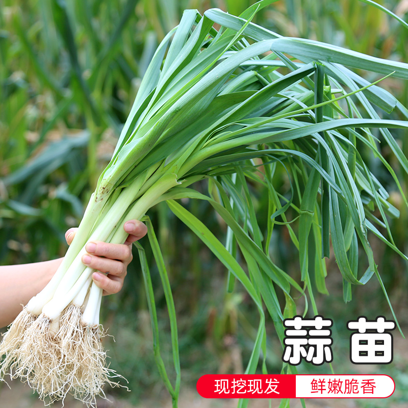 ũ ժְ  ۴ ζŨ500g