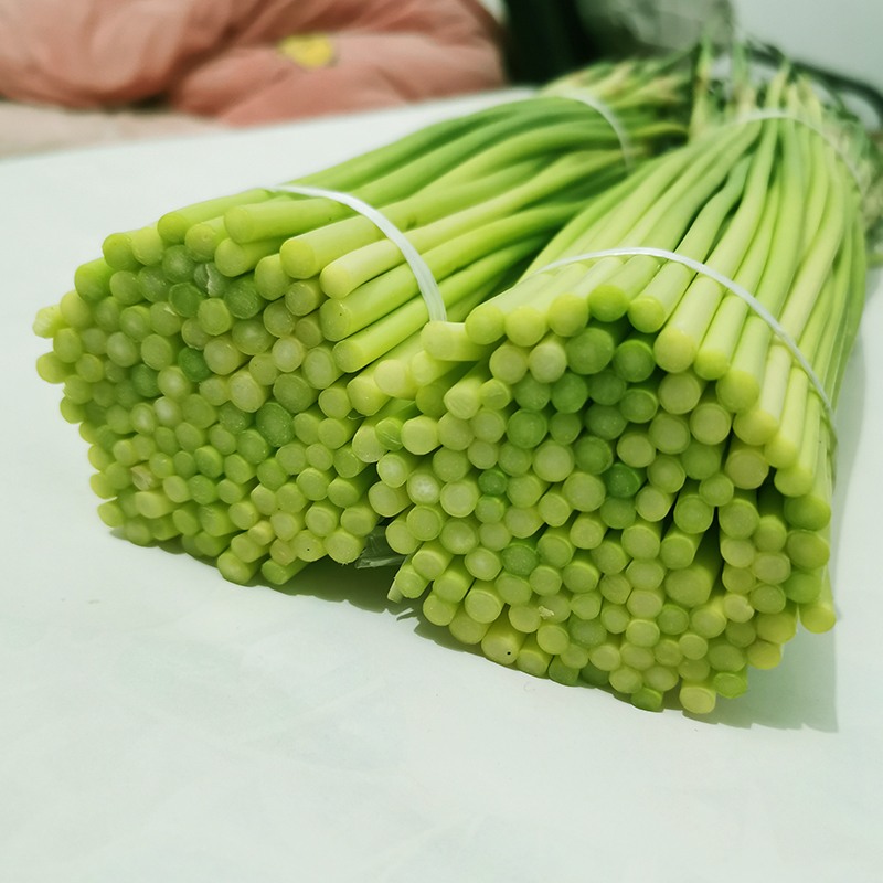 2023ժ̦5ũҴ޷̨߲о10
