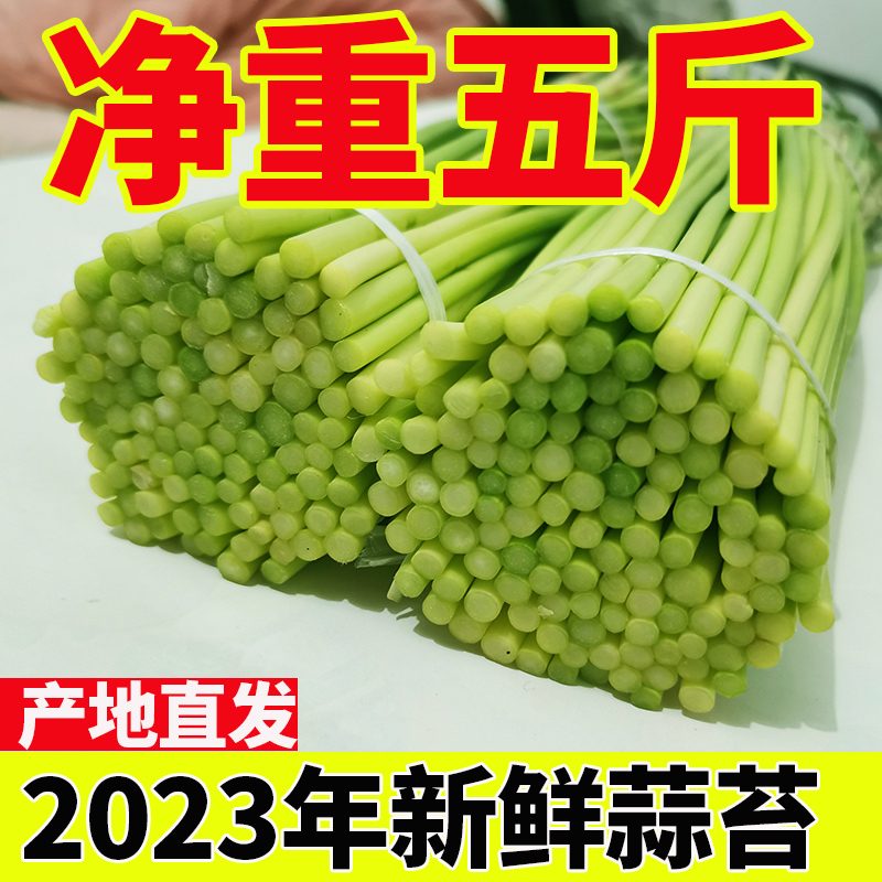 2023ժ̦5ũҴ޷̨߲о10

