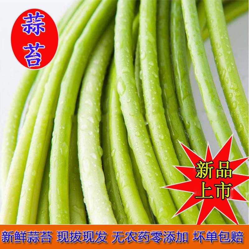ַ2023̦ũ統߲޷ñʴ̦

