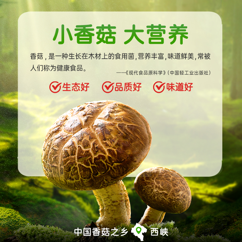 پ㹽跹Ģ·˼೴˾230g

