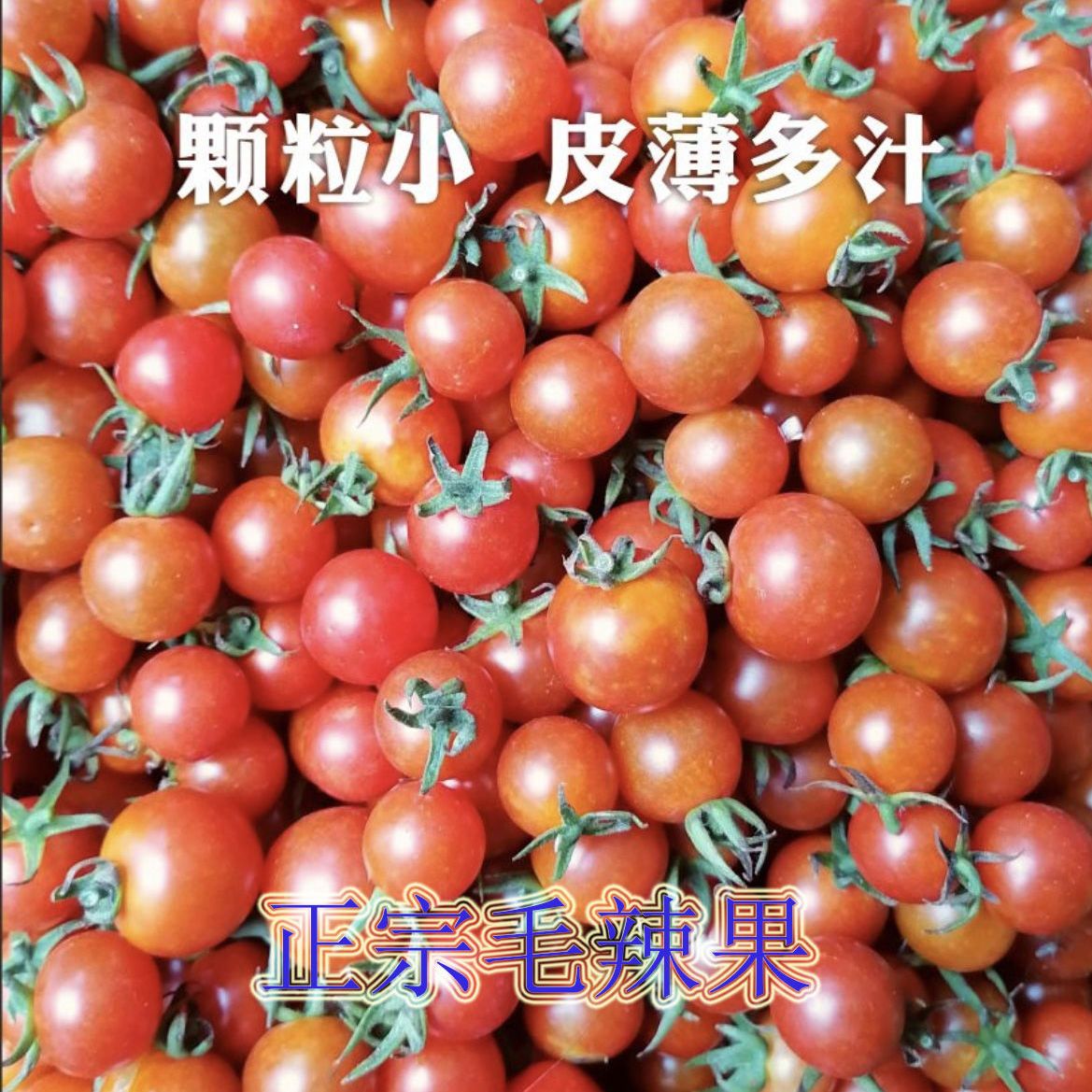 ڳȻСѹСëСʵʳƤ