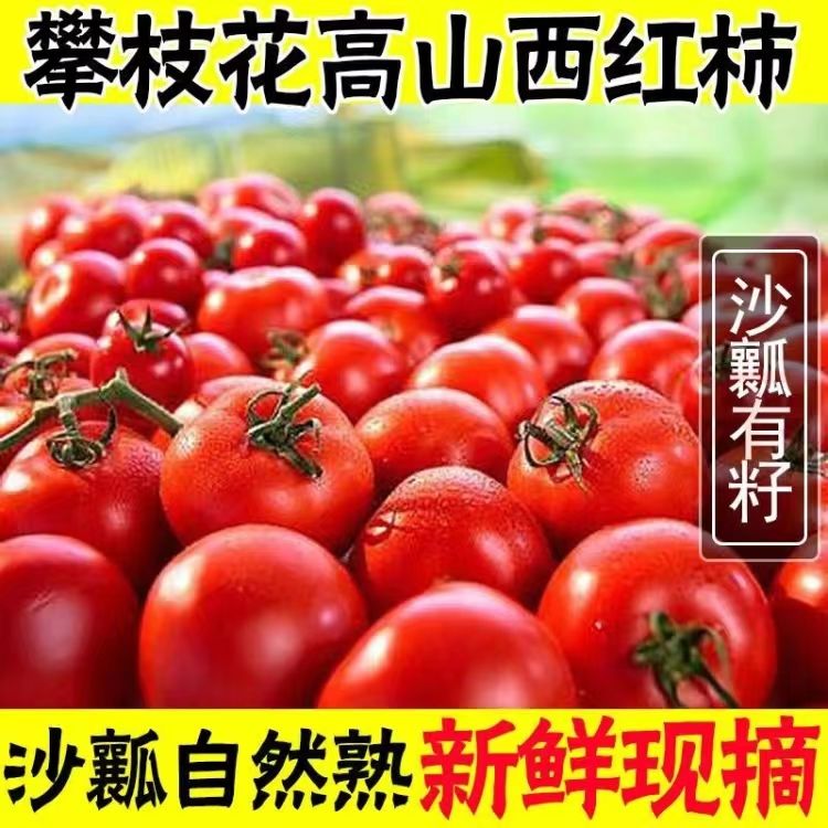 ֦¶ɳȿʷժˮСȻ