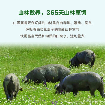 ɽлǺͣ500gлͣ0ʽ֬0 л500g
