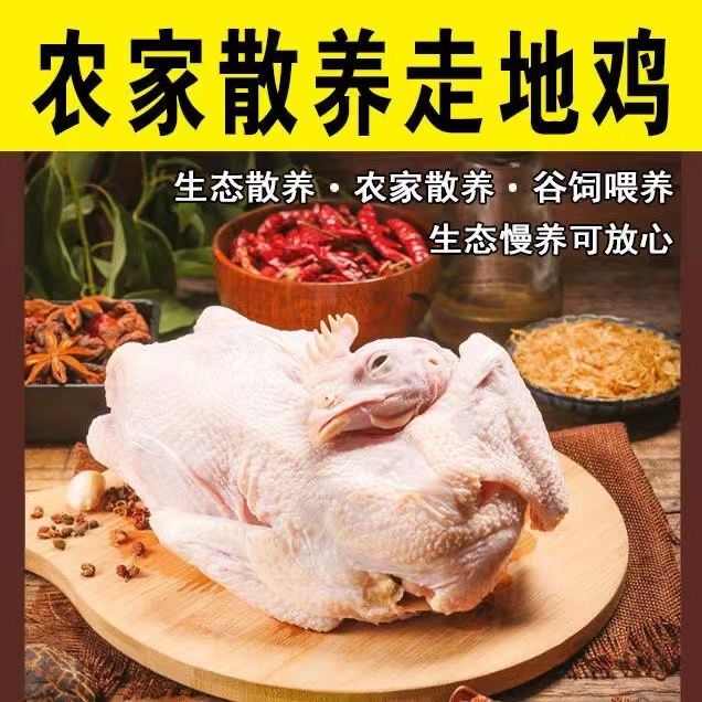 ֻ鼦ʳ˺±ζʳ㹽ʳ