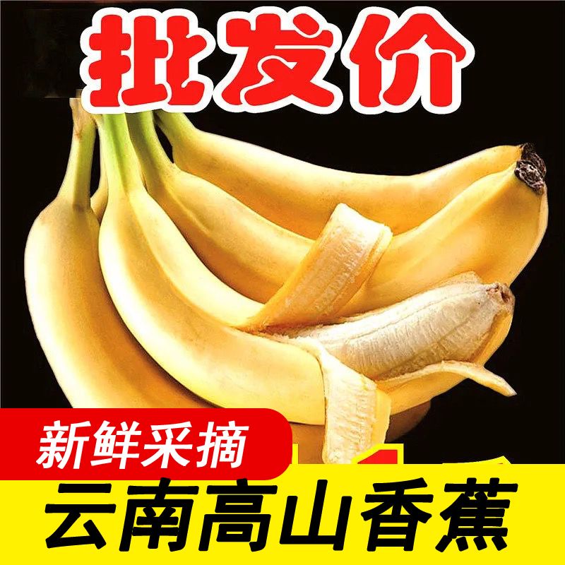 㽶ˮӦزиɽ㽶׽ؼ۰

