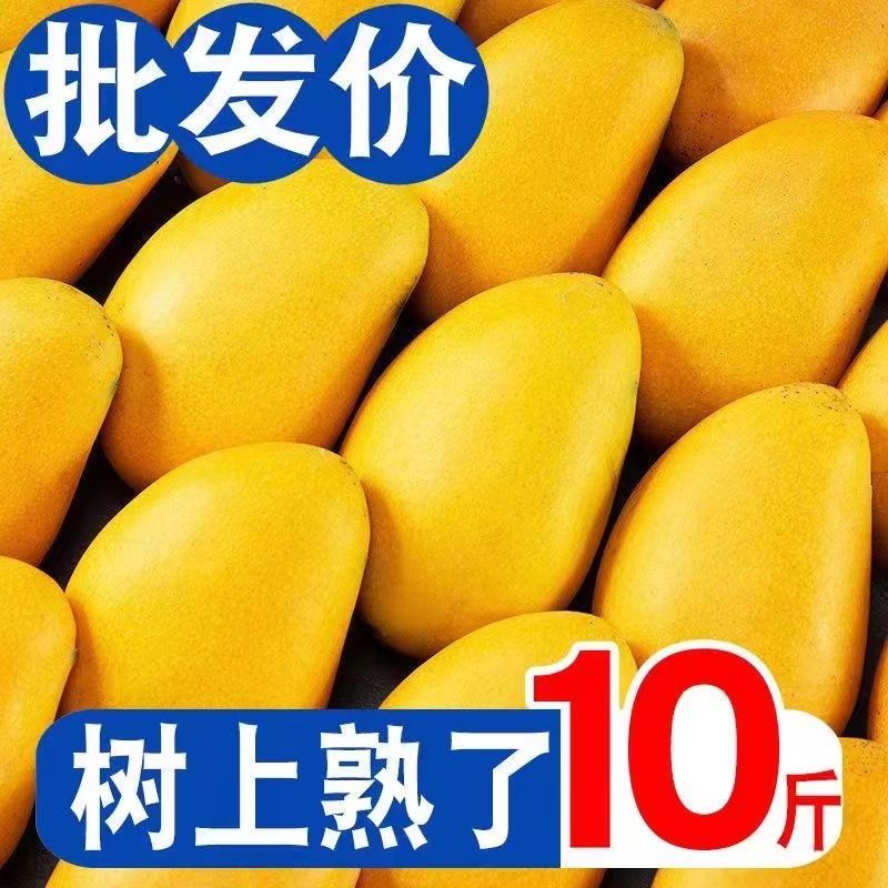 С̨ũâӦˮâʷǹâ