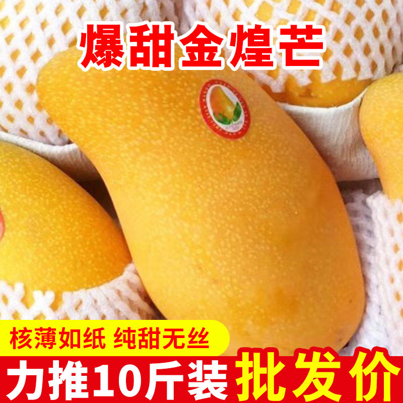 Ӧâ10װˮâˮâƤ
